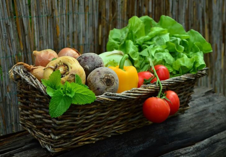 Ученые назвали рацион для снижения индекса массы тела