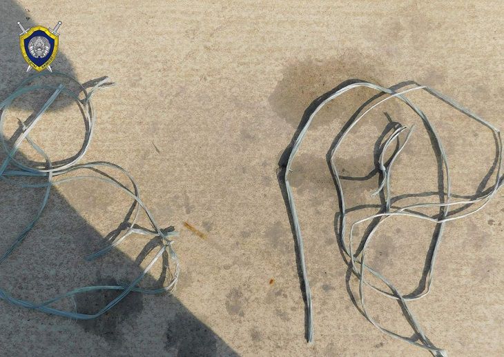 В Любанском районе мужчина жестоко убил двух собак