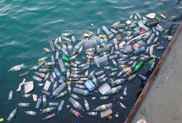 Ученые рассказали об опасности пластиковых дождей Ученые рассказали об опасности пластиковых дождей