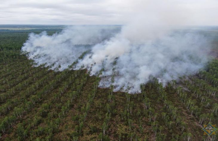 Под Витебском горят торфяники