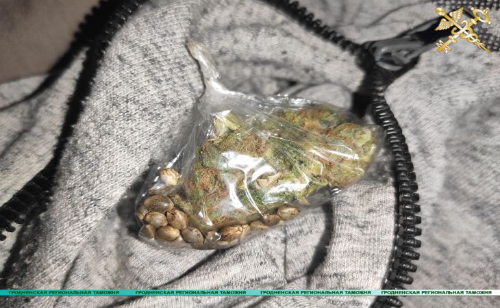 Дальнобойщик из Гродно пытался въехать в Польшу с марихуаной в кармане