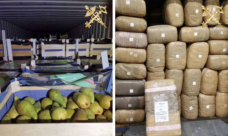 Белорусские таможенники пресекли незаконный ввоз в Россию 20 т груш Белорусские таможенники пресекли незаконный ввоз в Россию 20 т груш