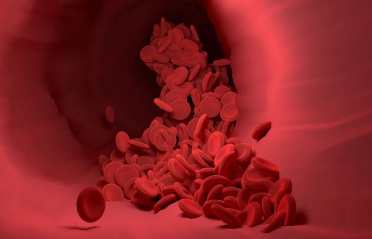 COVID-19 можно отнести к болезням кровеносных сосудов: неожиданный вывод ученых из Швейцарии COVID-19 можно отнести к болезням кровеносных сосудов: неожиданный вывод ученых из Швейцарии