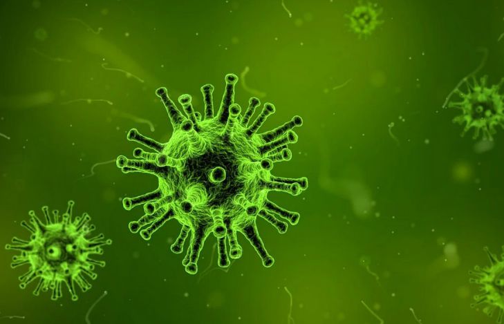 Китай опубликовал данные о новом пекинском коронавирусе