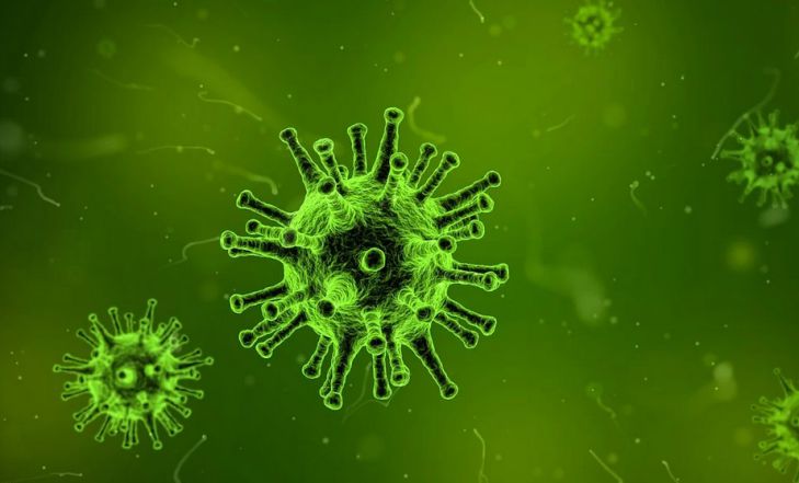«Зловещие щупальца»: ученые обнаружили новые свойства у клеток, зараженных коронавирусом