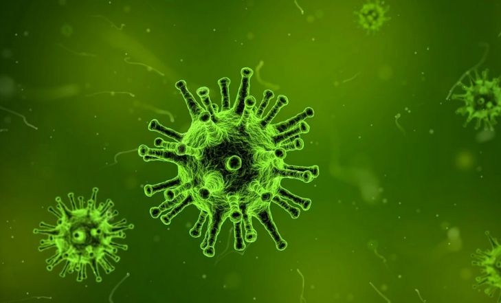 «Зловещие щупальца»: ученые обнаружили новые свойства у клеток, зараженных коронавирусом
