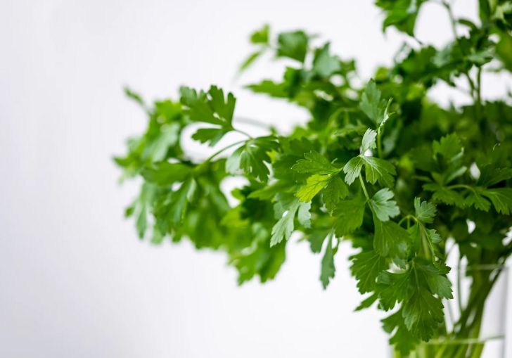 Врачи назвали зелень для профилактики сердечно-сосудистых заболеваний и рака
