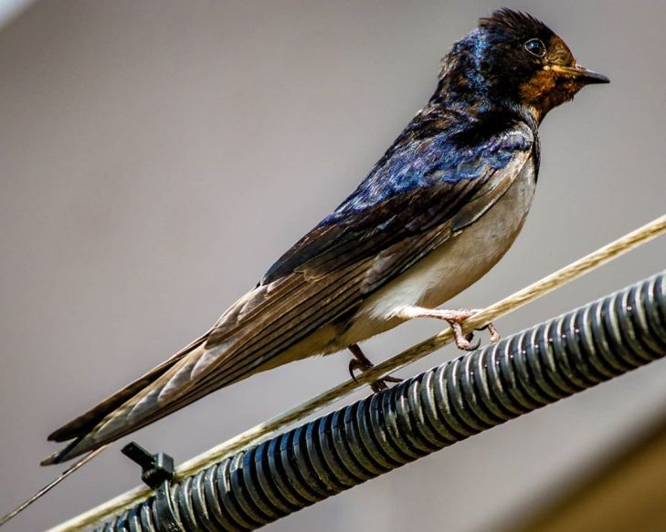 ТОП-7 фото Беларуси в Instagram на 17 июля 2020 года