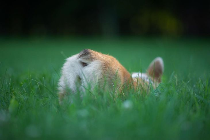 ТОП-7 фото Беларуси в Instagram на 22 июля 2020 года