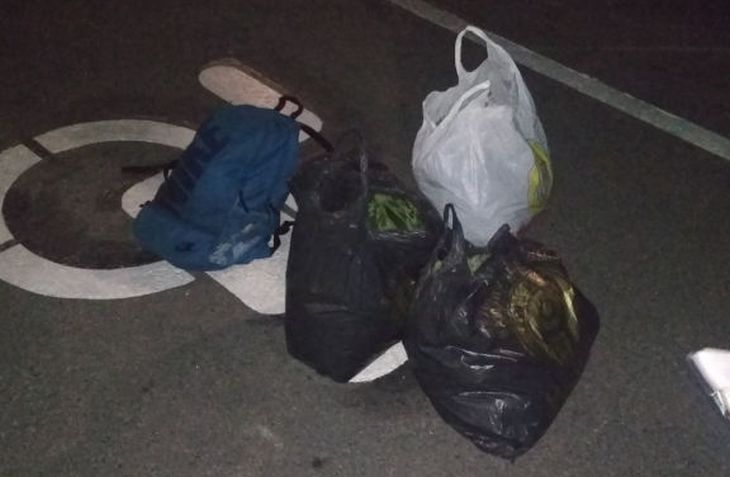 Жители Гомеля приехали на поле собрать конопли — местные сдали их милиции