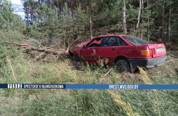 Бесправник на Audi врезался в дерево в Ивановском районе: двое пострадавших
