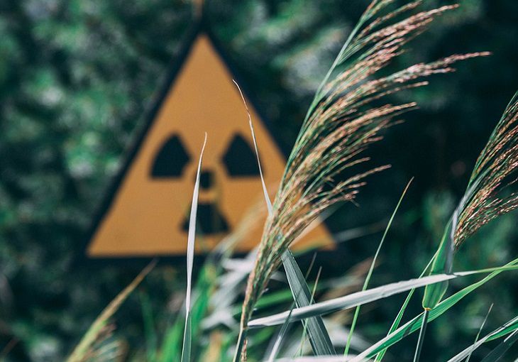МАГАТЭ назвало причину всплеска радиации в Северной Европе