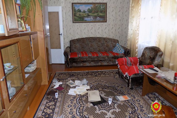 В Минске задержали криминальный дуэт воров-домушников из Пинска