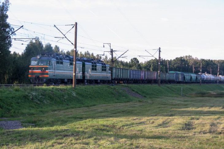 Трагедия под Пуховичами: мужчину переехал грузовой поезд