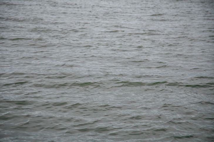 На озере в Гродно едва не утонула 5-летняя девочка
