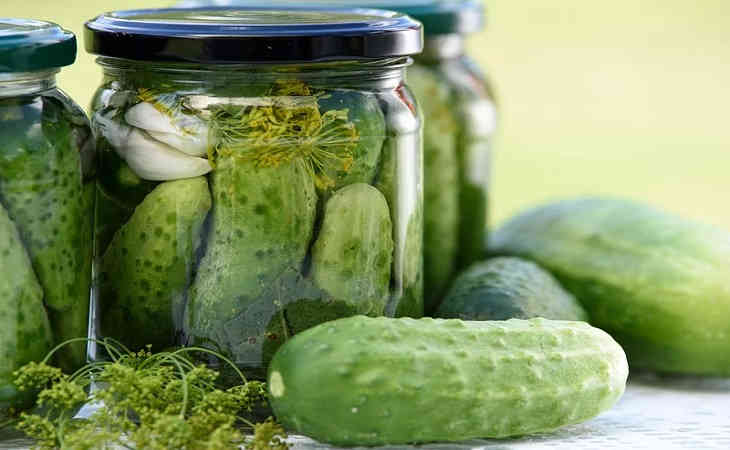 Как законсервировать огурцы по-холодному: вкусный рецепт домохозяйкам Как законсервировать огурцы по-холодному: вкусный рецепт домохозяйкам