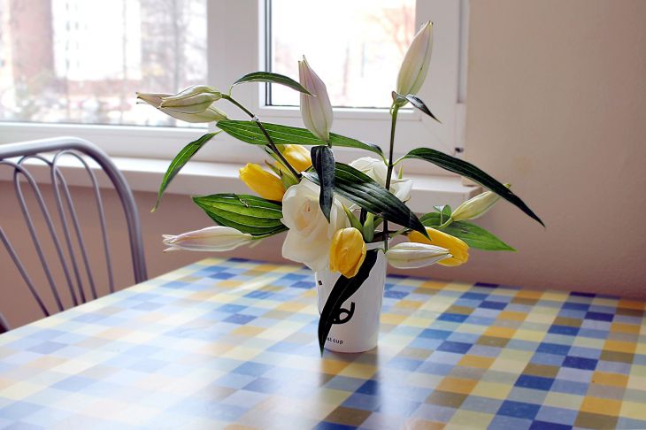 4 простых способа обновить интерьер кухни без ремонта