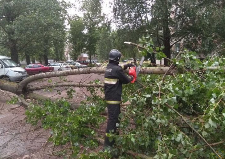 Буря под Малоритой: сотни людей обратились в страховую