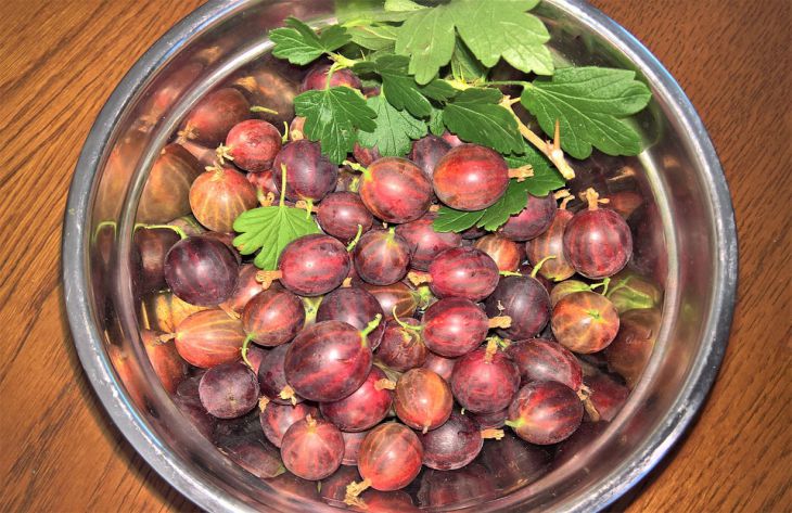 Простой рецепт варенья из крыжовника и апельсинов без варки