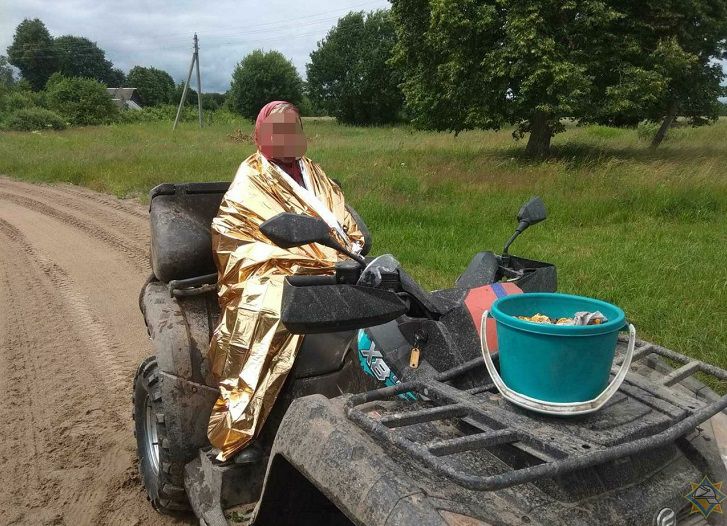 Под Кировском трое суток искали ушедшую в лес бабушку Под Кировском трое суток искали ушедшую в лес бабушку