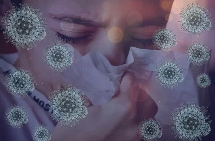 В лаборатории в Ухане открестились от утечки вируса