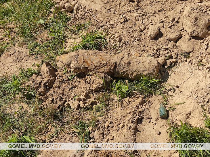 В Мозыре на территории детского сада обнаружили бомбу