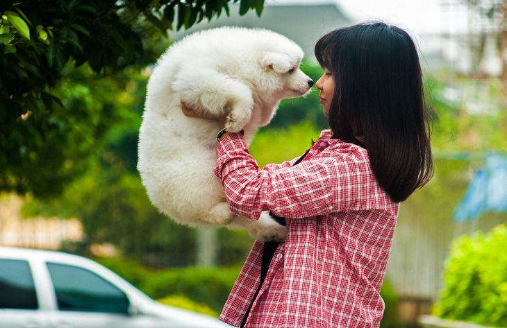 Ученым удалось выяснить, любят ли собаки человека на самом деле