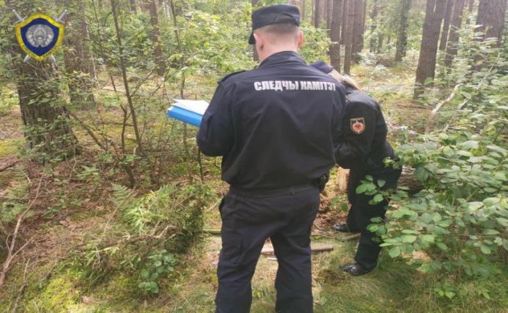 Шла по лесу в наушниках: в Пуховичском районе на девочку упало спиленное дерево – она погибла