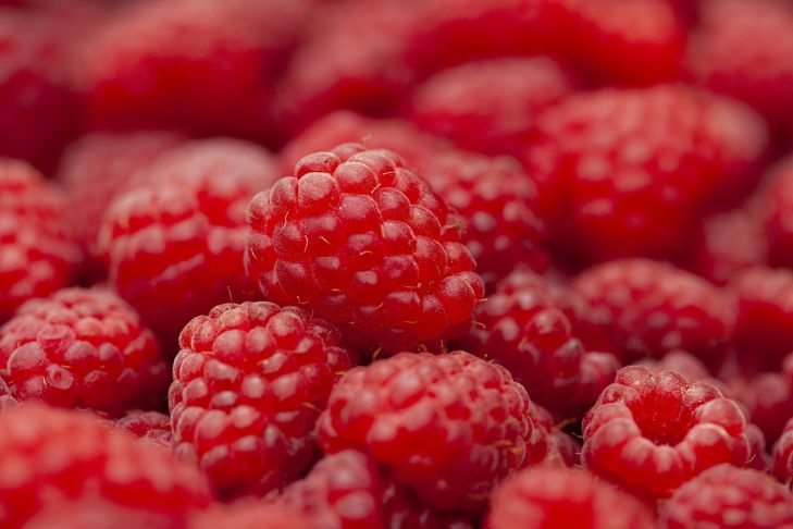 Малина чтобы не разрасталась чеснок. raspberry 5407356 1920 compressed 0. Малина чтобы не разрасталась чеснок фото. Малина чтобы не разрасталась чеснок-raspberry 5407356 1920 compressed 0. картинка Малина чтобы не разрасталась чеснок. картинка raspberry 5407356 1920 compressed 0. С детства обожаю малину, поэтому она всегда растет у меня на участке. Мы с детьми едим ее в свежем виде, готовим вкусные компоты и, конечно же, малиновое варенье на зиму. Но есть у кустов малины такая особенность – каждый год они разрастаются и занимают место, отведенное под грядки или другие ягоды. Я испробовала много разных способов, и не один раз была разочарована. Проблема никак не решалась.