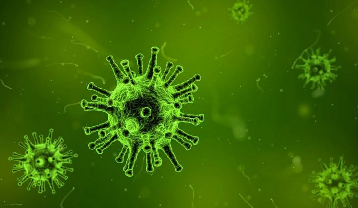 В мире зафиксирована вспышка нового типа коронавируса. Он агрессивнее и опаснее COVID-19