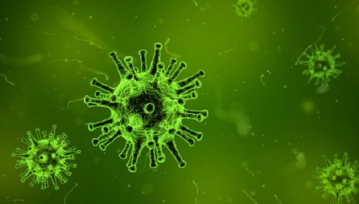 Ученые создали капсулу, которая позволит узнать, какие бактерии живут в кишечнике