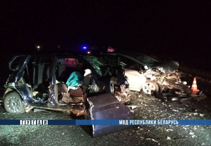 Жуткое ДТП под Гомелем: погибли две женщины и 6-летний ребенок, еще 5 человек в больнице Жуткое ДТП под Гомелем: погибли две женщины и 6-летний ребенок, еще 5 человек в больнице