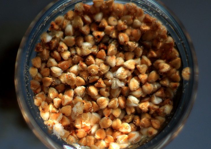 Ученые нашли источник долголетия:что нужно есть хотя бы раз в неделю Ученые нашли источник долголетия:что нужно есть хотя бы раз в неделю