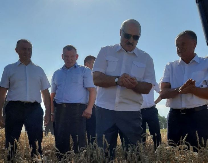 «10,5 млн тонн - больше не надо»: За день до выборов Лукашенко поехал на поля