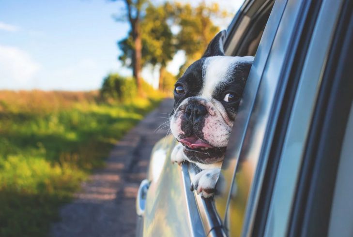Эксперты объяснили, почему опасно открывать окна во время движения на автомобиле