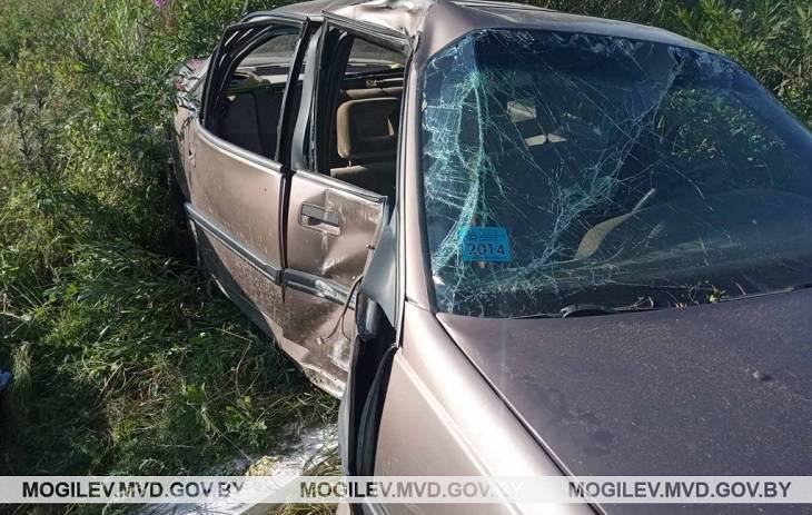 Под Белыничами пьяный бесправник врезался в опору ЛЭП: погиб пассажир