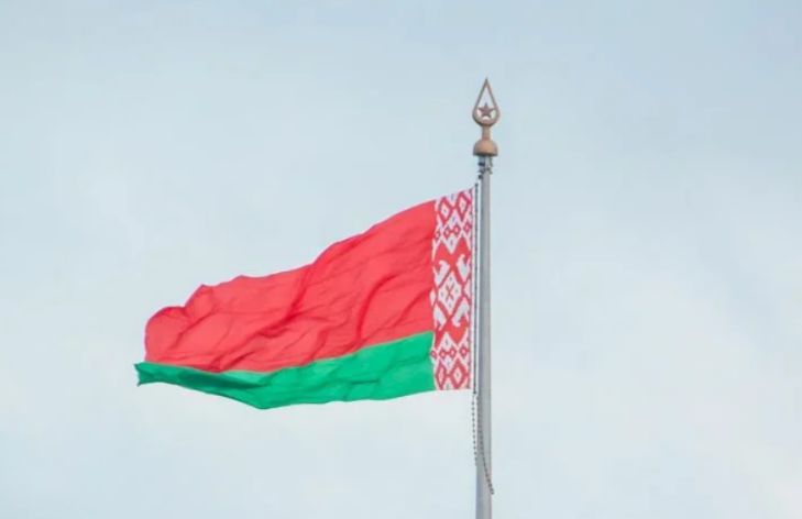 Наблюдатели от МПА СНГ рассказали, были ли нарушения на досрочном голосовании в Беларуси