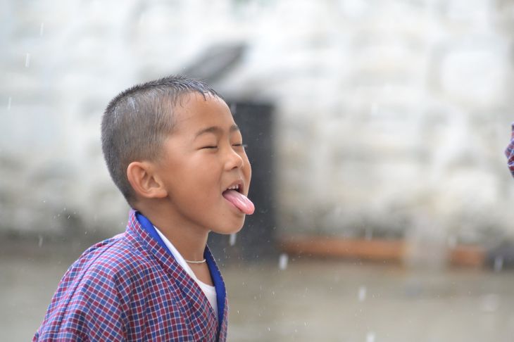 Ученые обнаружили клетки, которые способны определять все вкусы сразу