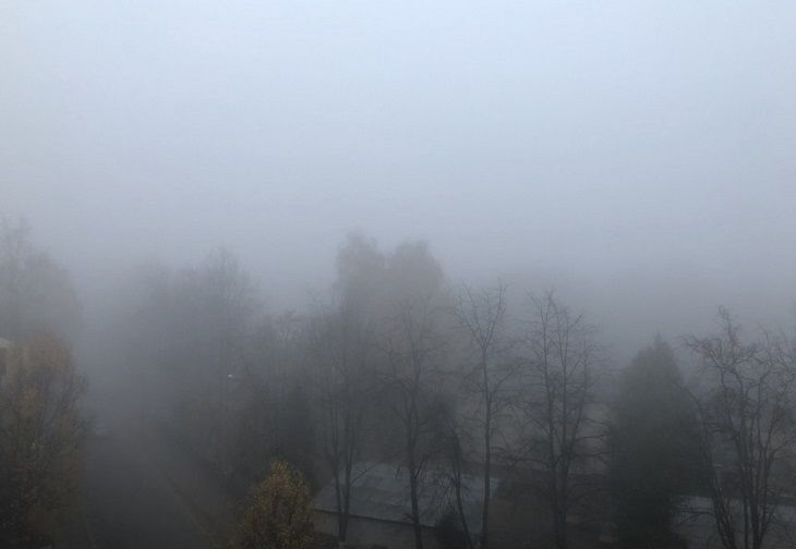 Туман и жара. Вот такой будет погода в Беларуси 2 августа 2020 года Туман и жара. Вот такой будет погода в Беларуси 2 августа 2020 года