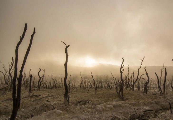 Новости экономики и общества в Беларуси и мире за 7 августа 2020 года