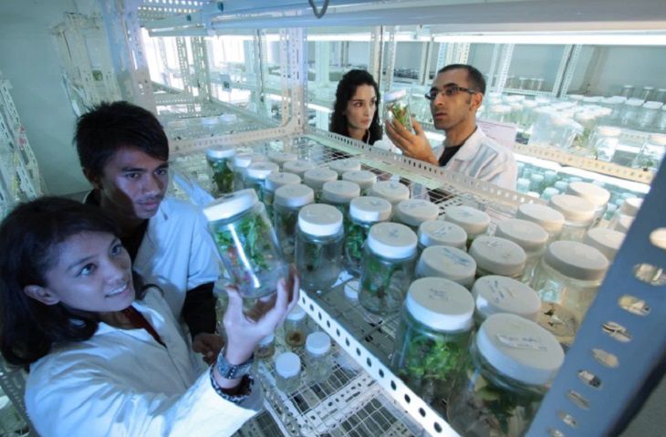 Учеными создан тест, способный быстро диагностировать рак яичников Учеными создан тест, способный быстро диагностировать рак яичников