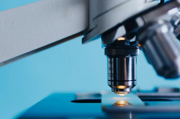 Ученые нашли главный признак быстрорастущей формы рака мозга Ученые нашли главный признак быстрорастущей формы рака мозга