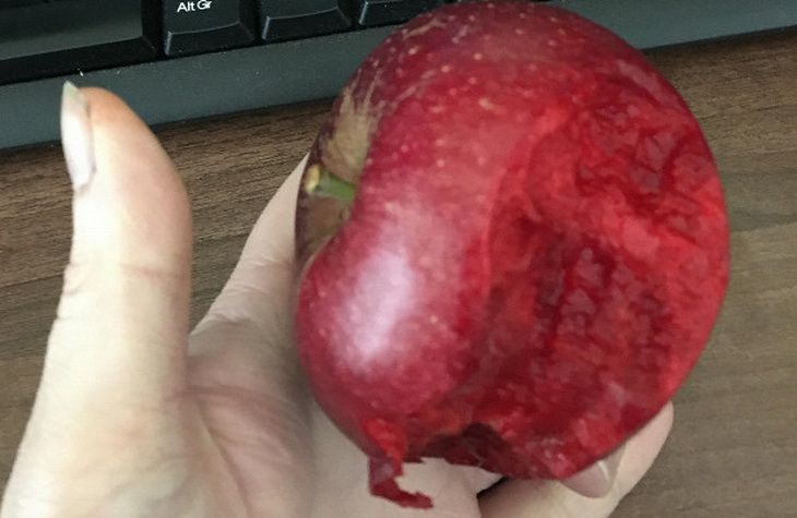 Смотрите, как оптическая иллюзия с яблоком ломает мозг