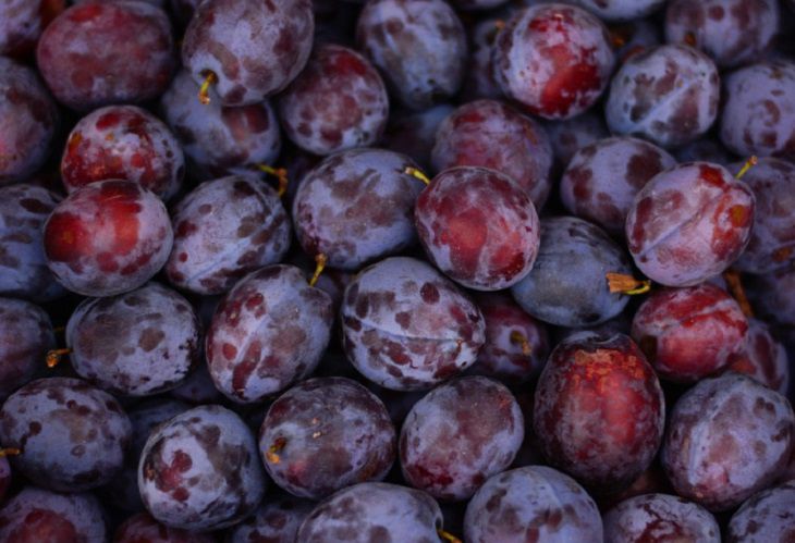 Врачи рассказали, кому нельзя есть сливы Врачи рассказали, кому нельзя есть сливы