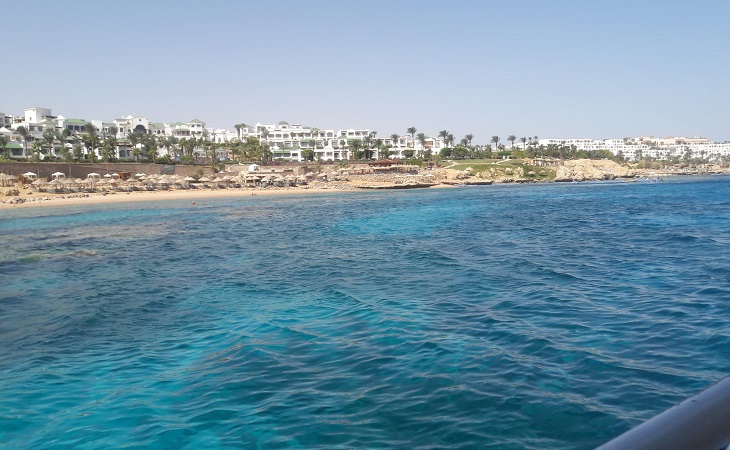 Египет упростил для туристов условия предоставления теста на COVID-19