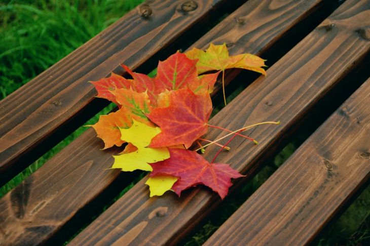 Вирусологи назвали главные правила укрепления иммунитета осенью Вирусологи назвали главные правила укрепления иммунитета осенью