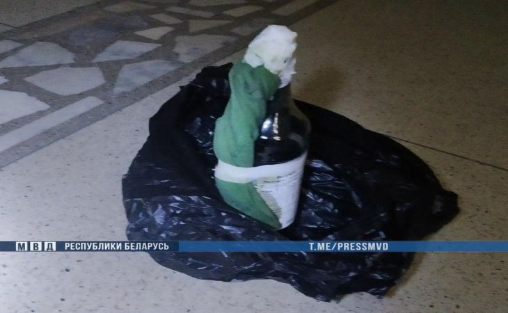 Милиция задержала жителя Минска с коктейлями Молотова – кадры 