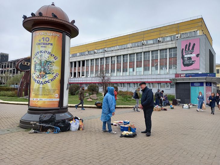 Грибы – рубль, цветы – 10 рублей. Что и почем можно купить на стихийном рынке в Минске