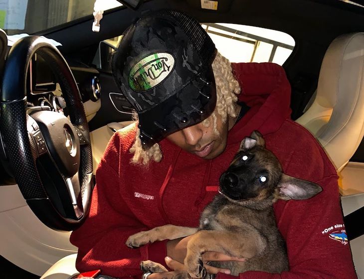 Девушка бросила в парня щенка из-за его цвета кожи. Но на этом история не закончилась