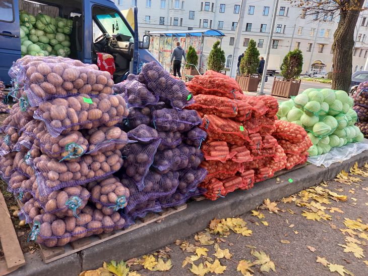 Посмотрели на цены: что продают на сельхозярмарке в Минске